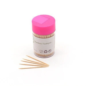 Personalized custom biodegradable toothpicks wholesale