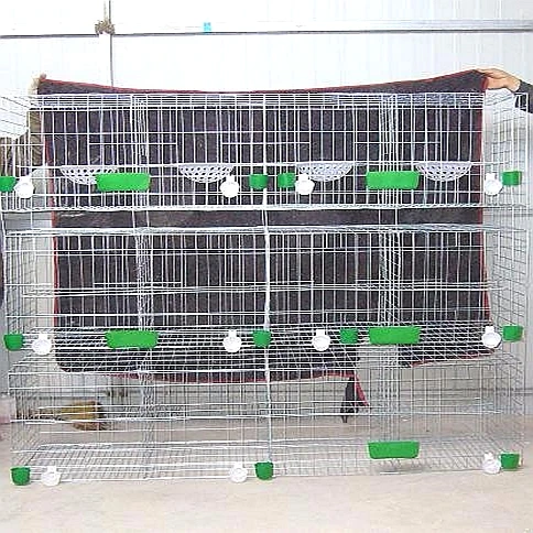 Pigeon Breeding Cage With Pigeon Accessories For Sale.