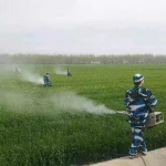 Portable fuel power orchard thermal fogger machine agricultural insecticide sprayer fruit trees pulse sprayer