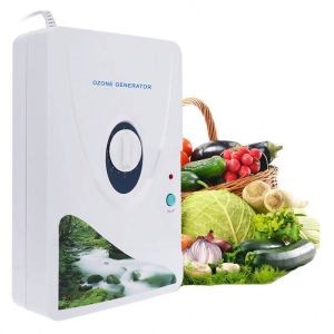 Portable mini 600MG/H Water Food Sterilizer Ozonizer Ozonator Vegetable Fruit Washers Deodorization Ozone Generator Air Purifier
