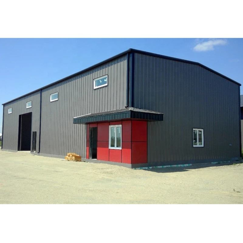 Prefab steel structure warehouse/plant frame steel buildings/prefabricated hangar