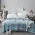 Import Printing microfiber comforter bedding sets from China