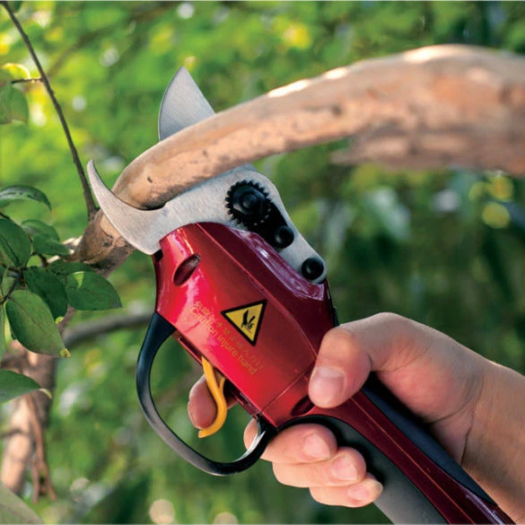 Professional electric pruning shears lithium battery powered bypass secateurs fruit picking scissors