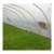 Import Professional Manufacturing Reasonable Price Single Span Polyethylene Film Plastic Greenhouse from China
