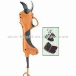 Pruning Shear