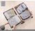 Import P.travel 6 Pieces Per Set Packing Cubes Luggage Packing Cubes with Laundry Bag from China