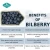 Import Pure Plant Extract Blueberry Extract Bilberry Extract from China