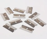 Raizi Flexible Single Edge Razor Blades