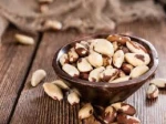 Raw brazil nuts / Brazil nuts Thailand / Organic Brazil Nuts