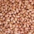 Import Raw Peanuts, pea nut, Roasted, Raw Groundnuts from France