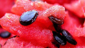 Red Watermelon Seeds
