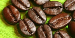 Roasted Green Arabica Coffee Beans