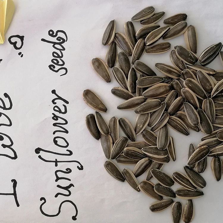 Selling Snack Wholesale Sunflower Seed Wholesale Sunflower Seeds New Crop 2021