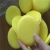 Import SEQ 2023 Hot sale customized size microfiber wax applicator pad from China