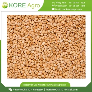 Sesame Seed Adulteration &amp; Fertilizer Free Superior Quality Top Grade Oil Seeds Indian Manufacturer With Quick Delivery Service
