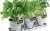 Import Set of 3 Galvanized herb flower pot from India