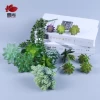 SET0838 Succulent Plants artificial for home decoration