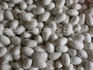 Silk Cocoon 100% natural from Vietnam with competitive price and best quality
