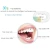 Import smart wireless rechargeable wholesale best oem an electric toothbrush sonic electric brush teeth tooth brush for adult from China