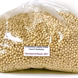 Soybean 6-8mm polished type with good price on hot sale