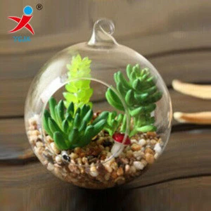 Spherical glass ball with holes for air plant