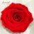 Import Stage Decorations for Wedding Homemade Thanksgiving Gift Forever Bulk Dried Red Rose Buds from China