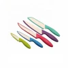 Stainless steel handle Cutting Foods Kitchen knife Set