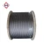 Import Steel Galvanized Iron Wire Rope from China