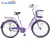 Import Steel Lugged Frame 26 Inch City Bicycle/Utility Bike/Vintage Bike Urban commuter from China