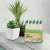 Import Succulent plants Nutrient fertilizer(10 bottles) - liquid agriculture gardening fertilizer flower plant from South Korea