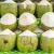 Import Super Quality Indonesia  Fresh Coconut For Industrial Manufacture from Indonesia
