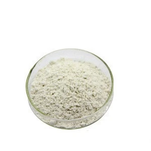 Supply High Quality Plant Extract Natto Powder/freeze dried natto/
