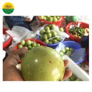 SWEET STAR APPLE WITH COMPETITIVE PRICE