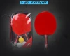 Table Tennis Racket Palio In Rubber Carbon Star Bag Wood Packing Player Handle Weight Bottom Attack