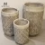 Import Tall Cylinder Fiber Cement Pots with Hand Carved Leaves Large Plant Pot Outdoor Cement pots from China