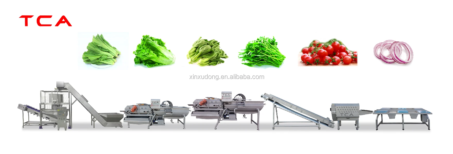 TCA vegetables processing and packaging machines