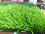 Tennis Court and Football Artificial Grass,Landscape Synthetic Grass,Sports Artificial Turf
