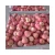 Import The factory supplies fresh red Fuji sweet apples rich in phytonutrients and polyphenols from China