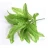 Import The Recycling Plastic and Silk Leaves for Artificial Plant Wall decoration from China