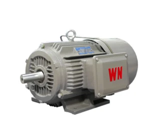Three Phase AC Motor for Electric Cranes