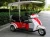 Import Three wheeler double seat electric tricycle scooter for handicapped from China