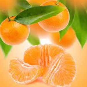 Top Quality Fresh Mandarin Egypt Origin Tangerine Wholesale Sweet Citrus Fruits New Crop OEM Private Label Fast Shipping