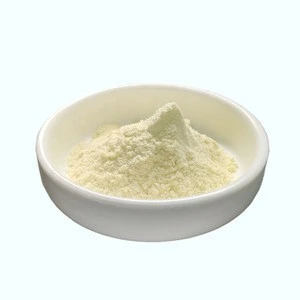 Top quality honey powder 100% pure and natural food grade freeze dried honey powder free sample organic honey powder wholesale