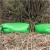 Import Tree Watering Bag  Tree Drip Irrigation from China