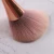 TSZS Nail Brushes Remove Dust Powder For Acrylic Nails Makeup Manicure Clean Up Tools Nail Art Brush