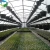 Import Ventilation rack and pinion plastic film greenhouse from China