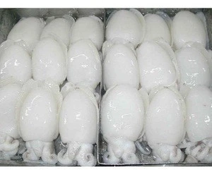 VIETNAM FROZEN CUTTLEFISH EXPORT STANDARD PRICE FOR SALE HIGH QUALITY WITH BEST PRICE FOR YOU