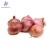 Import Vietnam onion red exports / fresh / dry, high quality from Vietnam