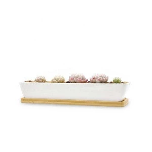 White Ceramic Succulent Planter with Bamboo Tray Small Cactus Plant Pot