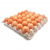 White Chicken Table Eggs